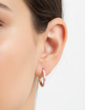 Aros Plata de Ley 925 Chapados Oro Modelo Rosa
